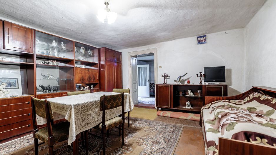 Casă Variasu Mare Jud. Arad cu teren 16883 mp - Poză 2
