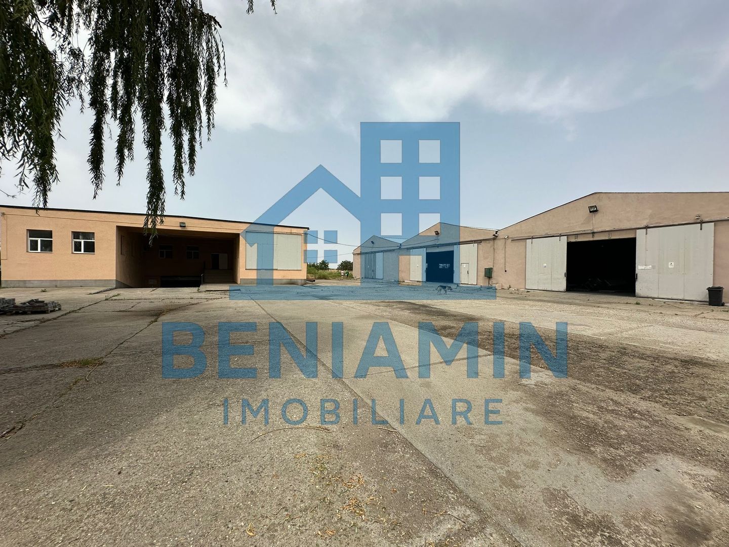 Hale 9000mp-Teren 24.000mp-Industrial-Dolj-Curent Trifazic-Investitie - Poză 2