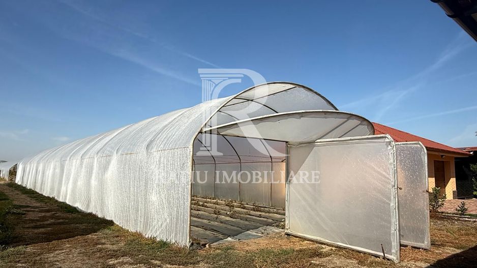 Teren intravilan agricol | 7029 mp | Satu Nou | Bihor - Poză 3