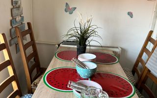 SPATIU COMERCIAL DOMENII, LOC PARCARE, CENTRALA, MOBILAT/UTILAT, CURTE - Poză 9