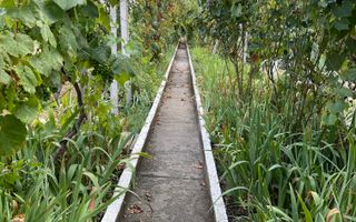 Casa | 9 camere | Garaj | Piscina | Teren 3.000 mp | Comision 0% - Poză 45