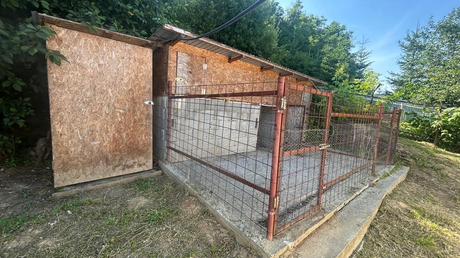 Casă de vânzare – Brătila, județul Bacău - Poză 22