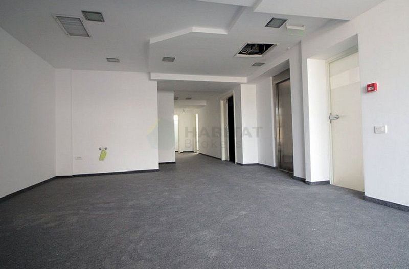 Cladire birouri inchiriata complet, zona Basarab - Titulescu - Poză 8