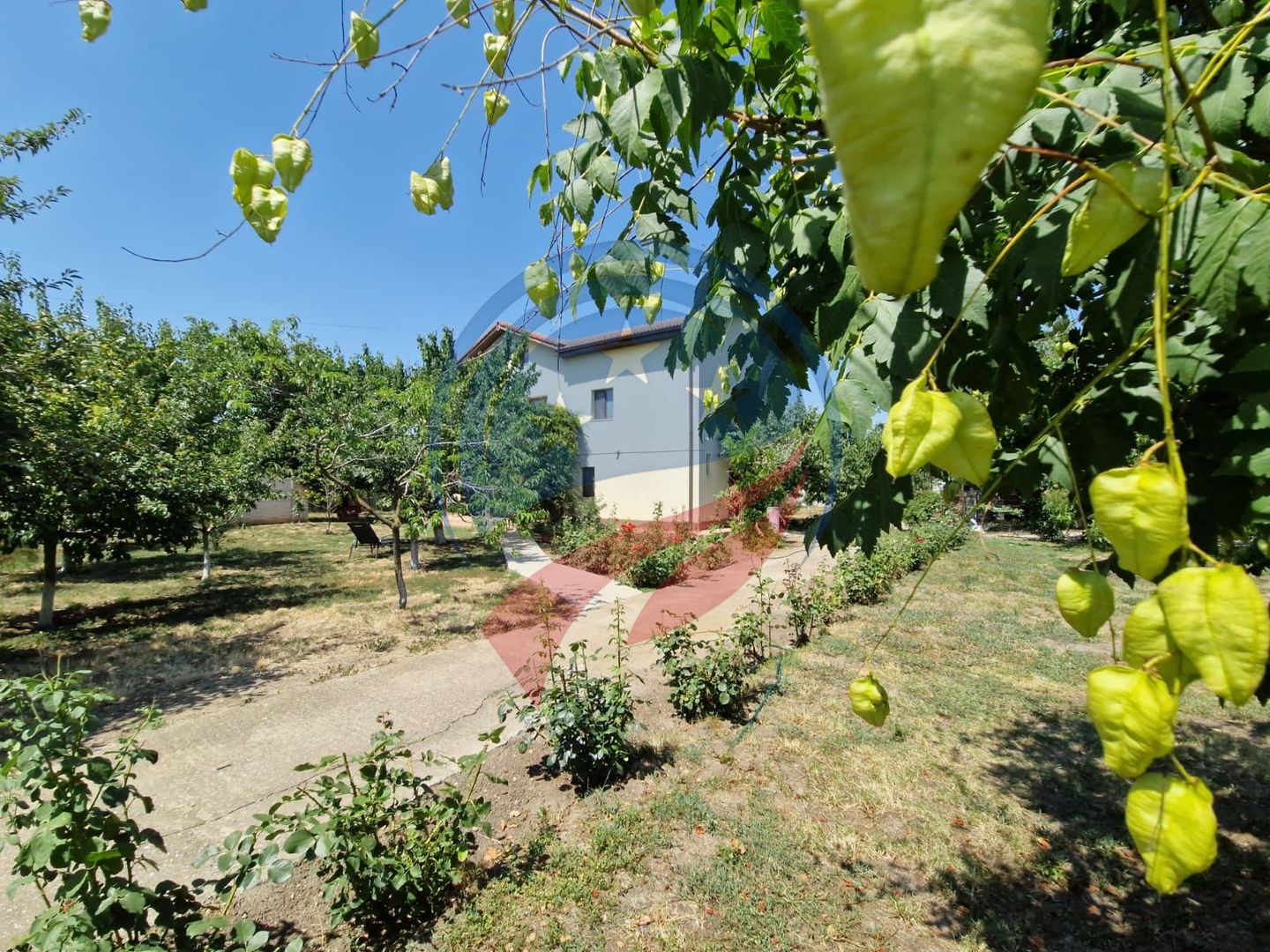 CASA P +E  5 camere -Cosoveni - Poză 16