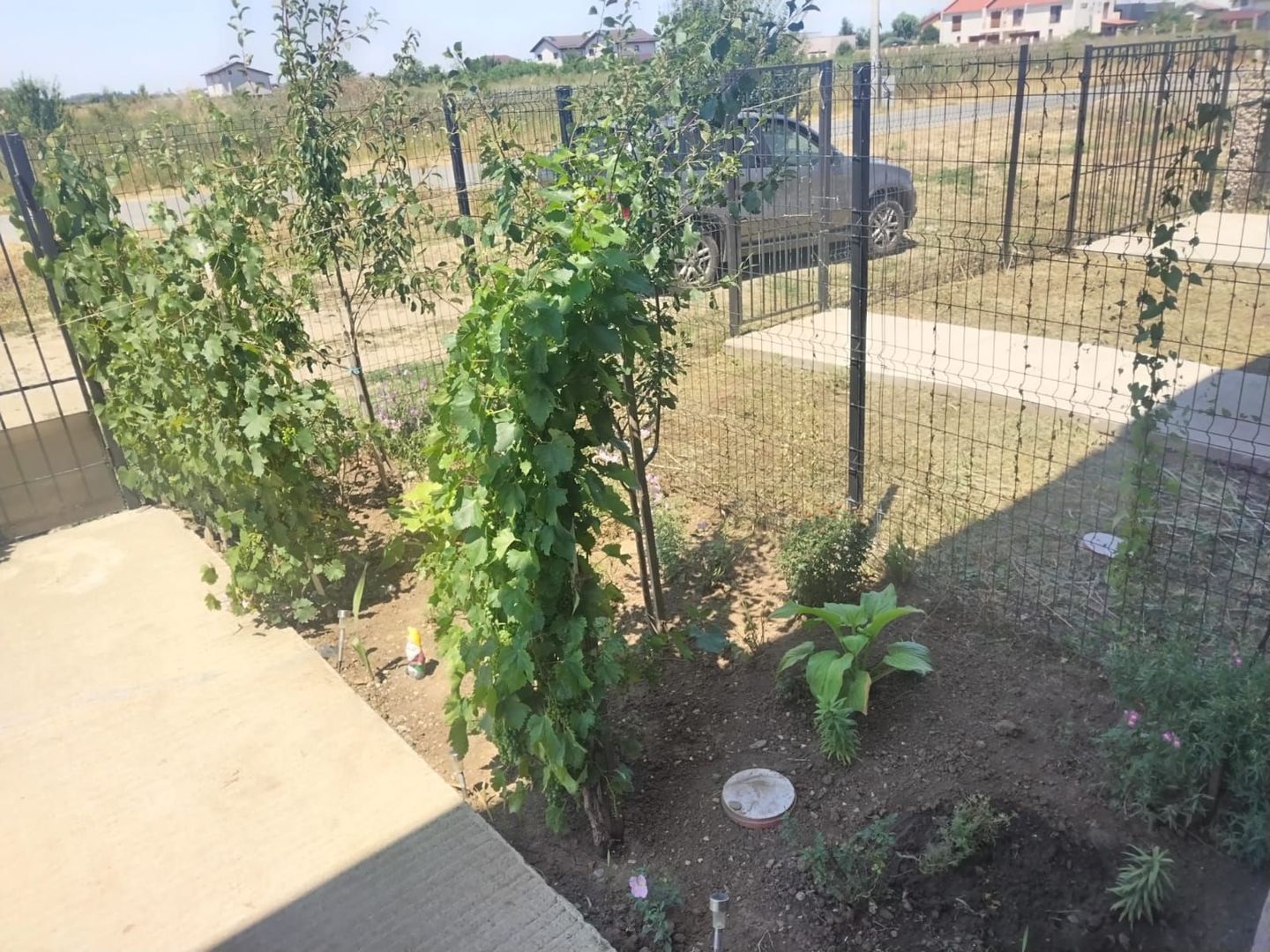 Vila Duplex P+1+M , curte proprie | Otopeni | Comision 0% - Poză 4