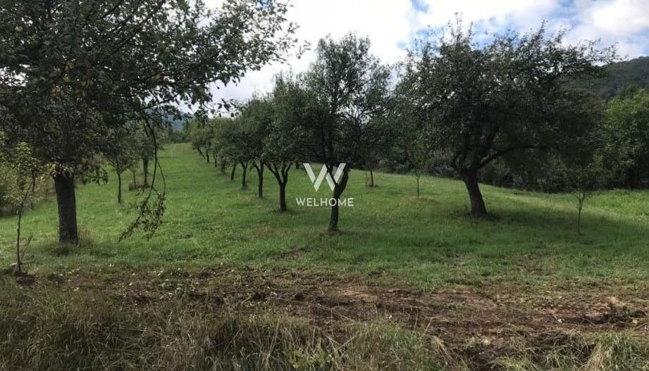 Teren extravilan - Sibiel, Sibiu - Poză 1