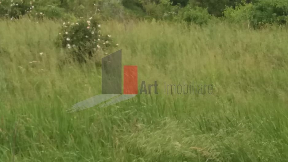 Teren Buftea cu iesire la lac - Poză 13