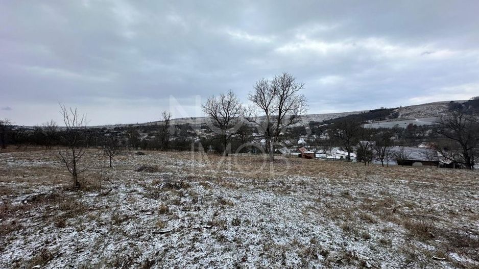 Casa individuala cu teren generos – 8.356 mp – Tichindeal, jud. Sibiu - Poză 8