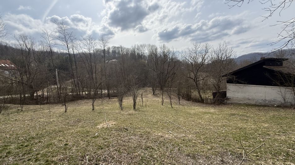 Teren intravilan la asfalt 2100 mp deschidere 21 mp la asfalt! - Poză 1