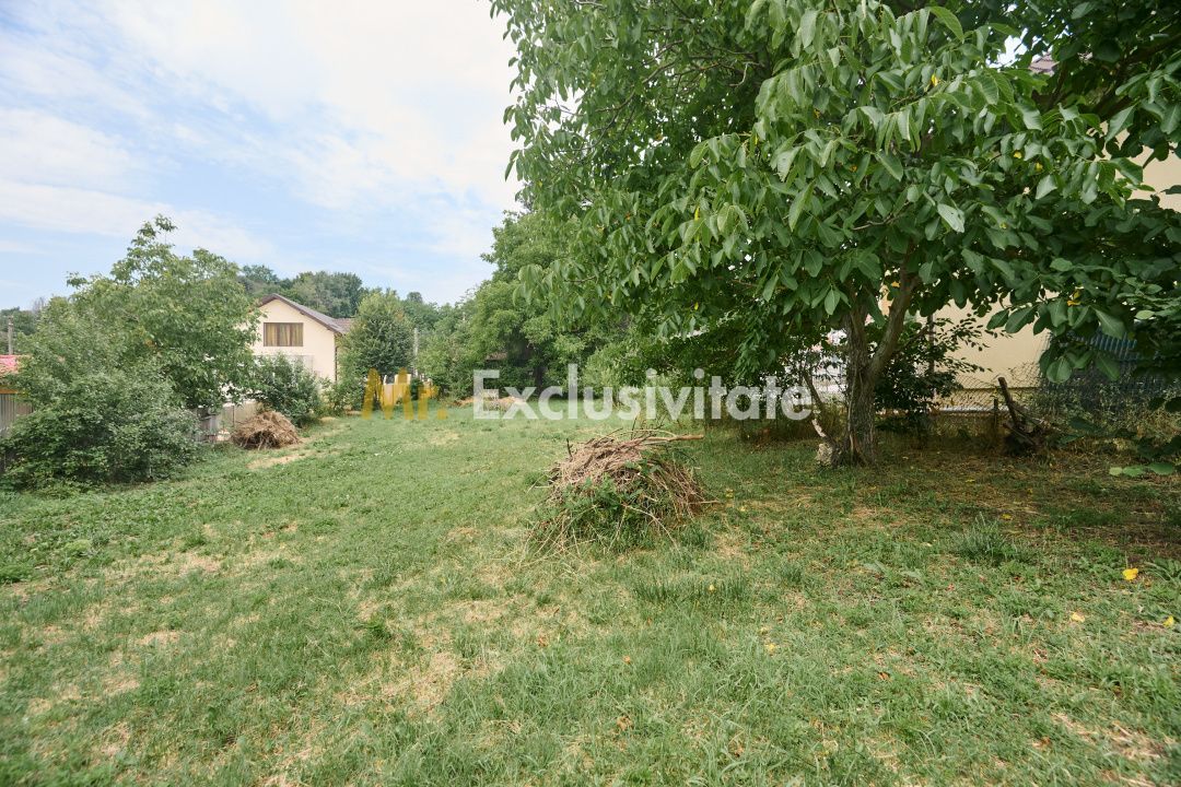 Teren 2240 mp intravilan + casa batraneasca Hintesti-Basangesti - Poză 9