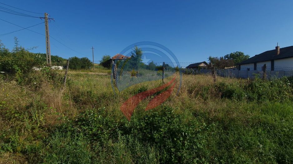 Teren  8 227 mp + Casa demolabila de vanzare in Filiasi -  Fratostita Dolj - Poză 4