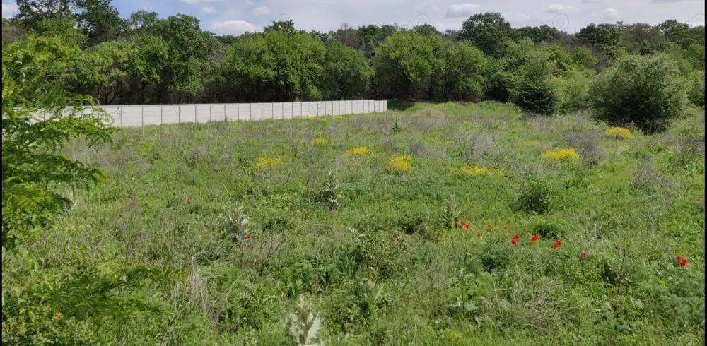 Teren Baneasa Sisesti - Poză 1