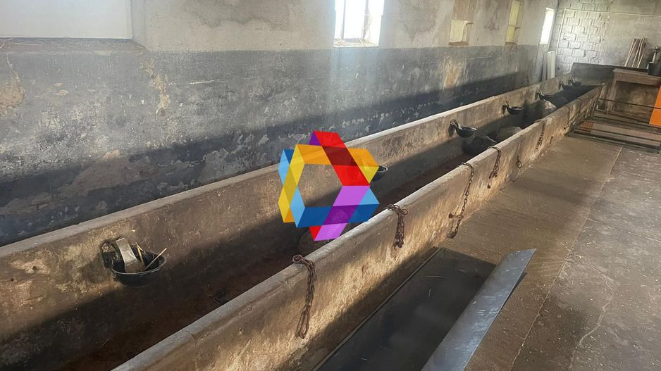 Hala - 1000 mp + 500 mp pod #plus-imo.ro - Poză 11