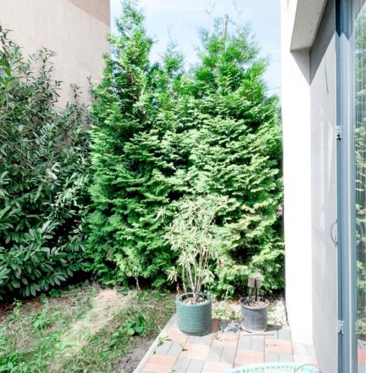Apartament Modern De Inchiriat | Gradina | Terasa Acoperita | Balcon | Parcare - Poză 18