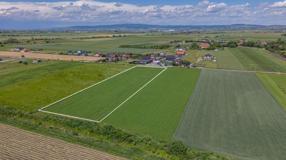 Teren 9.300 mp Stupini | Front 45.59 m la Asfalt | PUG Zonă L1c - Poză 6