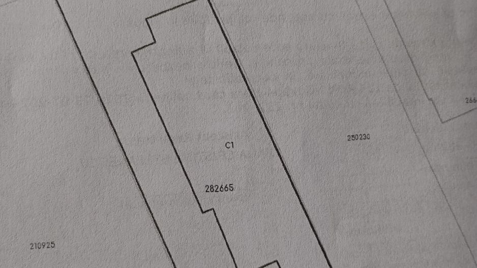 APARTAMENT IN VILA DOMENII - Poză 6