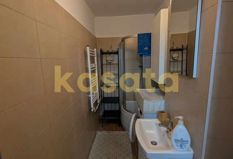 Garsonieră de închiriat în Pajura, aproape de Piața Pajura - Poză 8