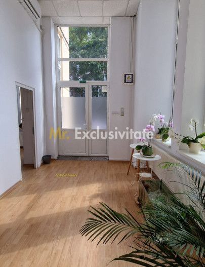 De inchiriat spatiu comercial central - Poză 18