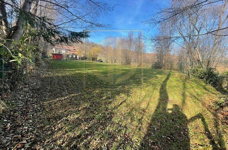 Teren 3349 mp de Vânzare | Bran – Panoramă Munții Bucegi - Poză 5