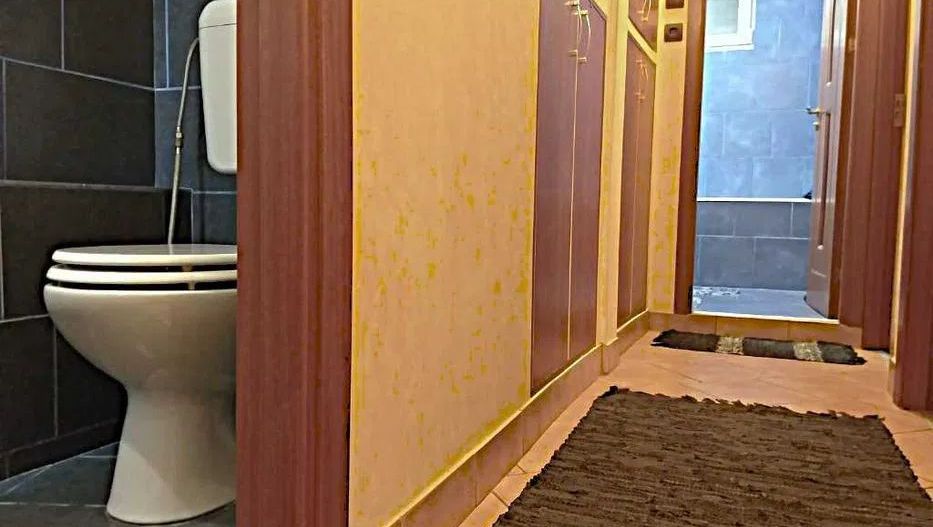 Apartament spatios cu trei camere, Iancului - Poză 8