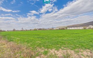 Teren extravilan, 1 ha, în orașul Sebiș, Arad - Poză 2