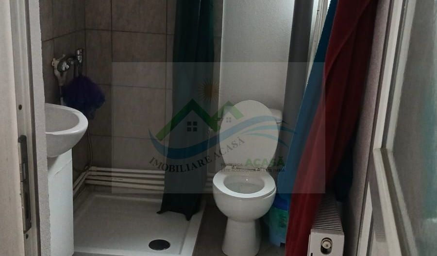 Pensiune/Unitate de cazare/Vila Burdujeni Suceava - Poză 39