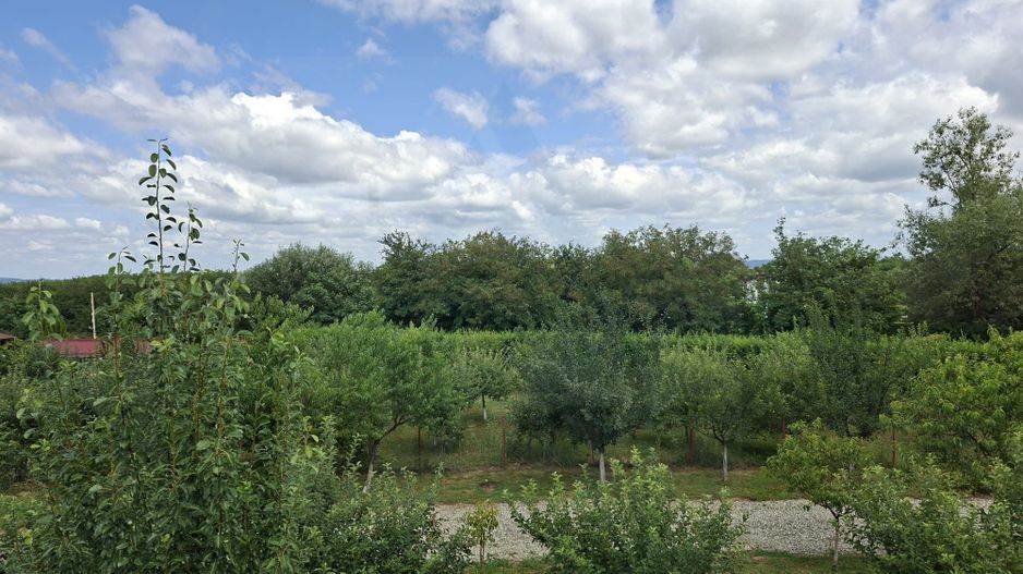 Pensiune 600 mp an 2023 si casa 130 mp teren 4600 mp zona V. Avrigului - Poză 14