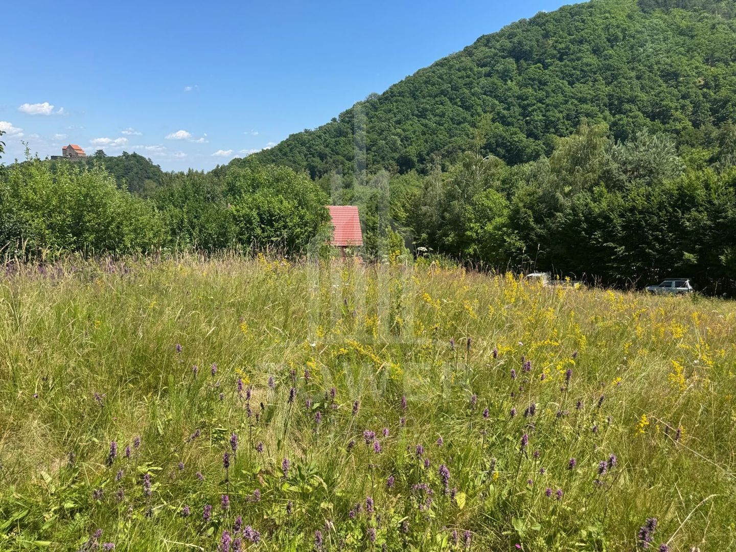 Teren intravilan 4600mp - 55 EUR/mp - EXCLUSIVITATE CISNADIOARA - COMISION 0% - Poză 13