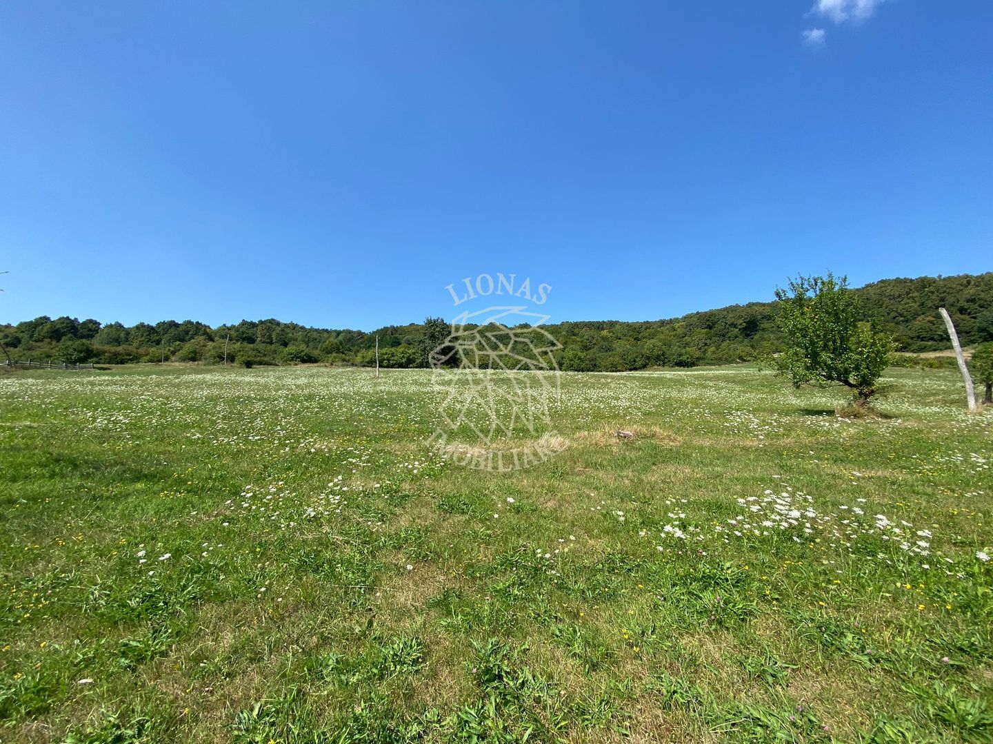 Teren 11.000 mp-ideal cabana/ferma-Unirea-Valea Slatinitei - Poză 7