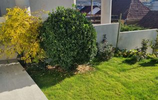 De vânzare – Casă la cheie, zonă ultracentrală Oradea.