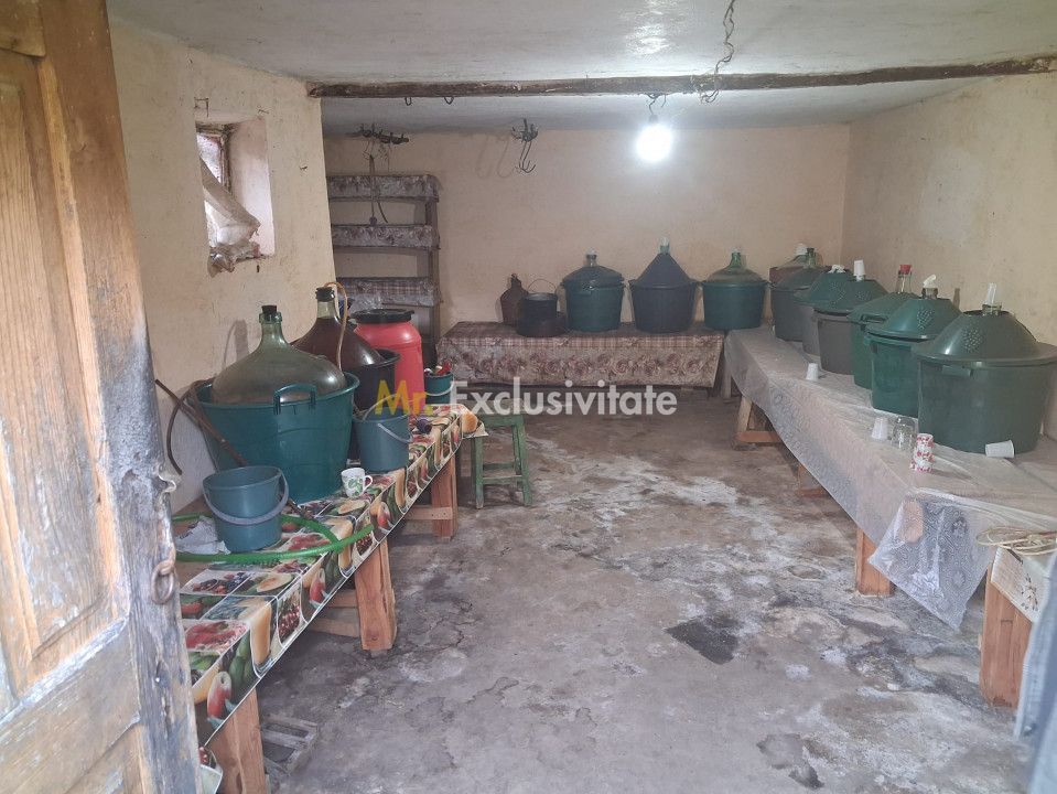 Casă tradițională cu teren generos – Borosteni, Peștișani, jud. Gorj - Poză 11