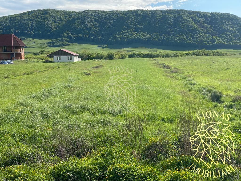 Teren intravilan-Crainimat -3000mp-ideal investitie construire casa - Poză 1