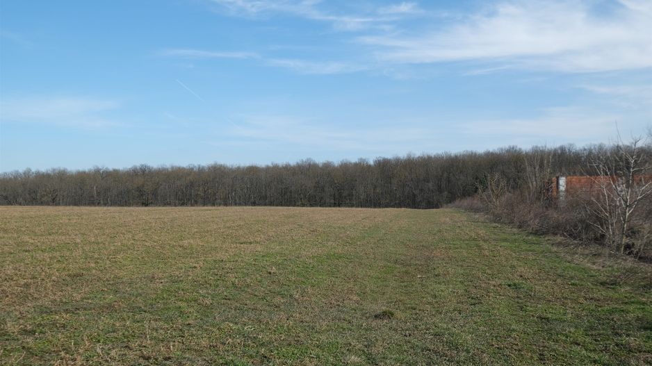 Peninsula Ganeasa, cu pozitie exceptionala, 1.075 mp. - Poză 4