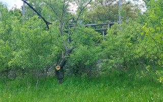 TEREN 1617 MP CAMPULUNG-MUSCEL - Poză 4