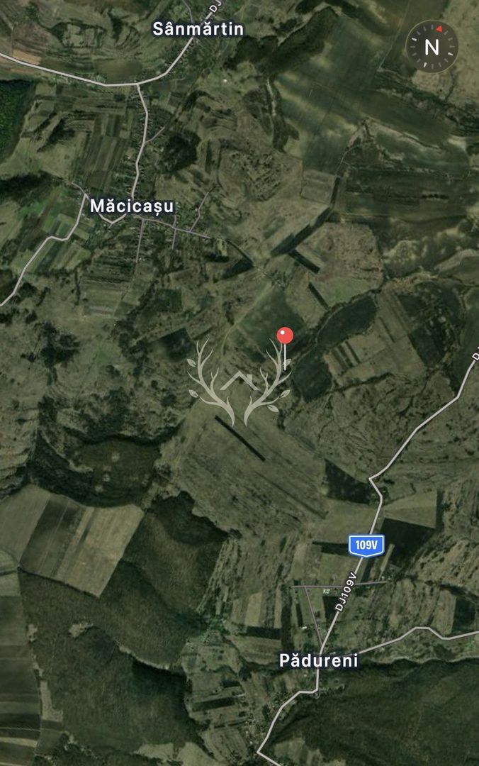 Teren intravilan de vanzare | 2.900 mp | Macicasu, com. Chinteni | La - Poză 3
