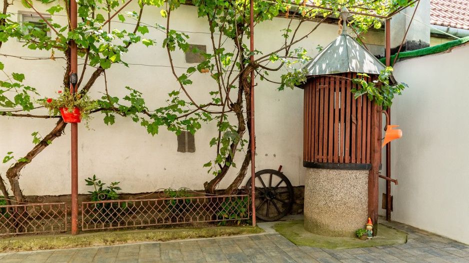 Casa + Pensiune deosebita - Orlat, Sibiu - Poză 53