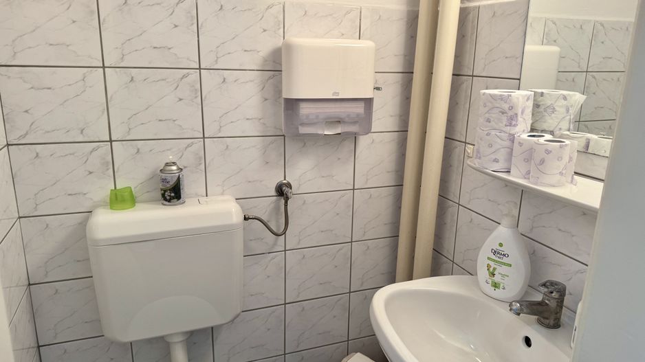 Brâncoveanu  Sp+P+M cu extindere P+1E+M pretabilă afacere - Poză 31