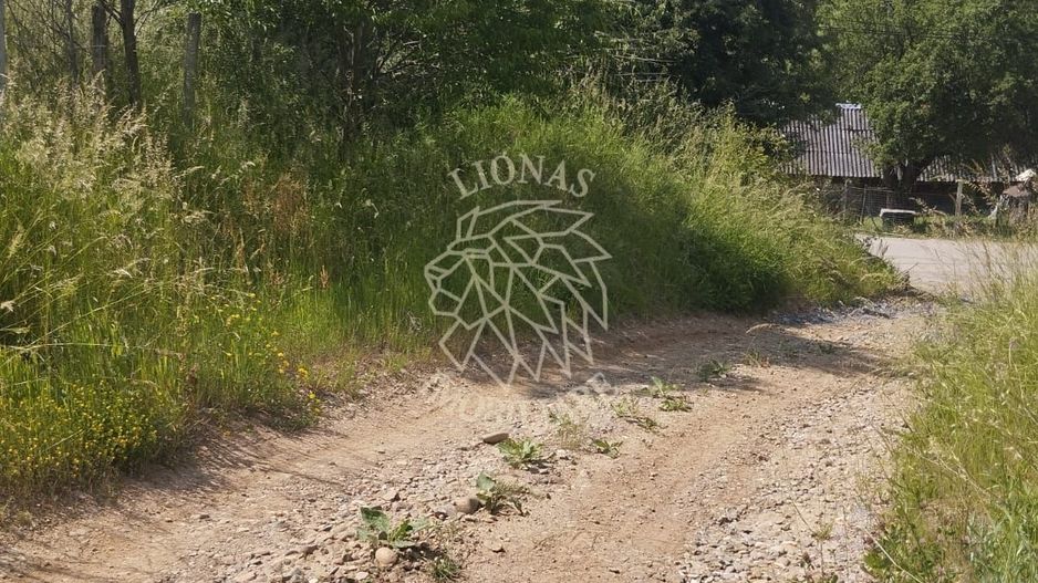Teren 40.000 mp-ideal investitie-Slatinita - Poză 4