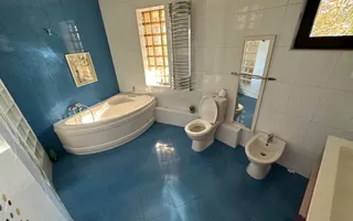 ZONA TAKE IONESCU - ISHO   pentru AfterSchool - Poză 27