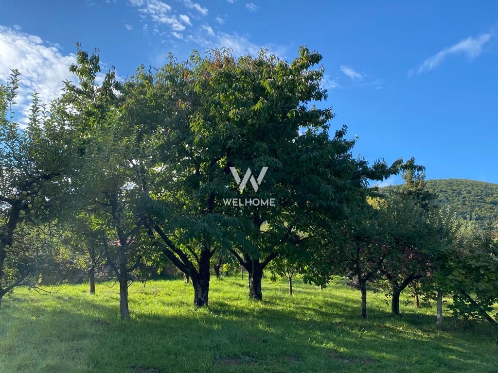 Teren intravilan 2100 mp - Valea Avligului - Sibiu - Poză 3