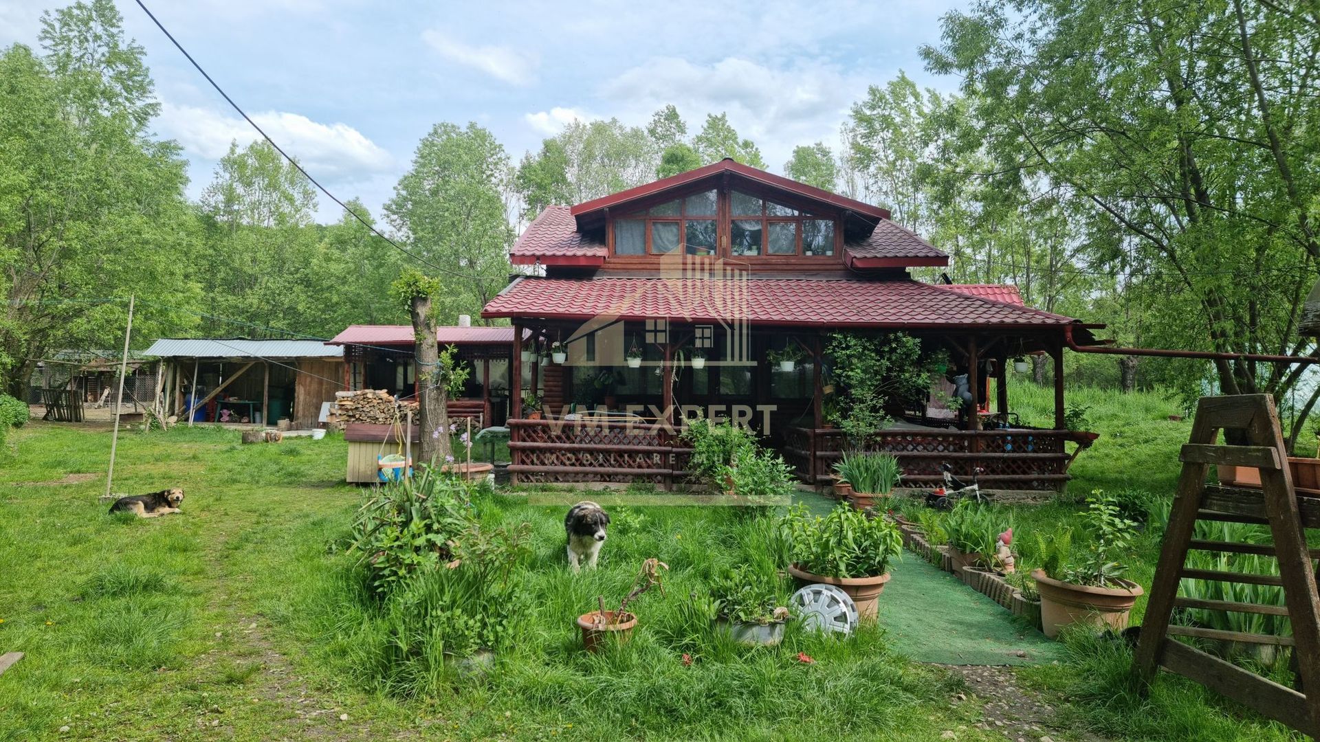 CASA 3 CAMERE, TEREN 6200 MP + 2 LACURI, CAMPULUNG, NAMAIESTI - Poză 31