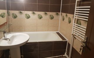 Apartament cu 1 cameră, decomandat, 42 m2, de închiriat în cartierul Nicolina 1 - Poză 7