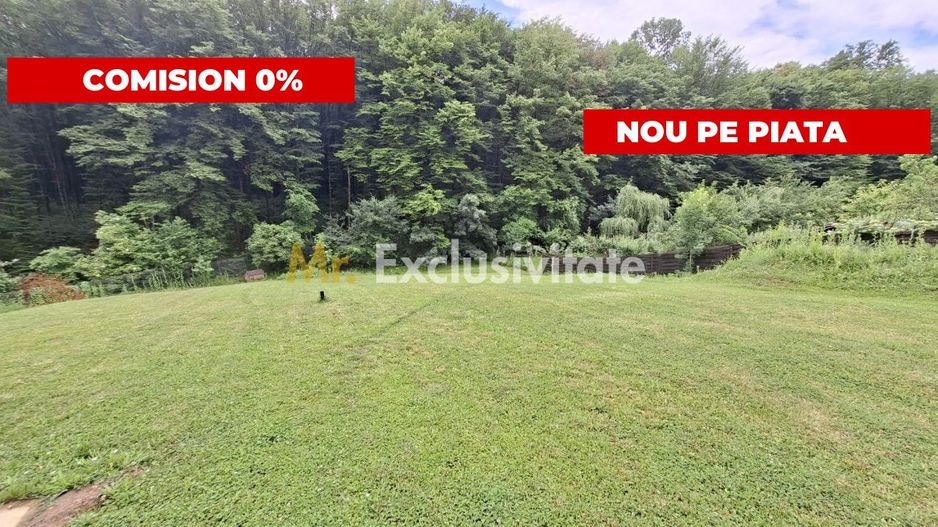 Teren intravilan 1203 mp Bascov-Florea zona Superba - Poză 1