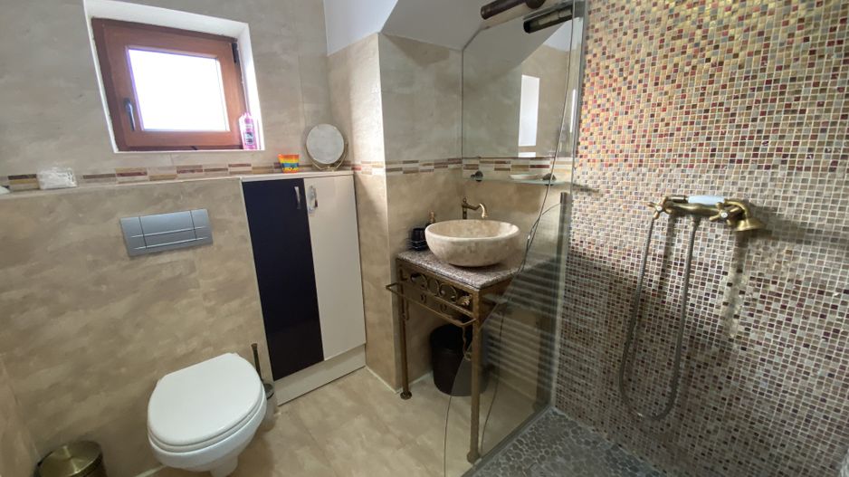 Cochet la intrare in Dumbravita - Poză 10