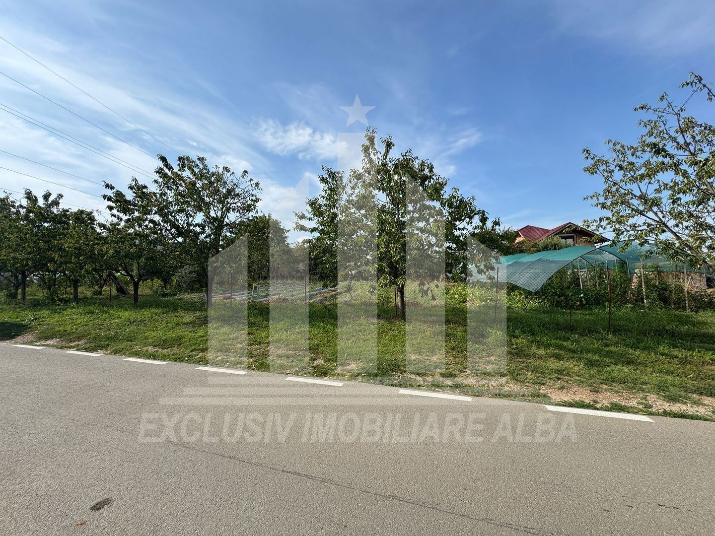 Teren intravilan | 1200 mp | 35 ml deschidere | Alba-Micesti - Poză 3