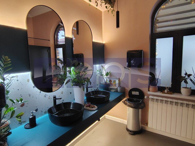 VILA EXCEPTIONALA PARCUL CAROL |  5 STUDIOURI | SPATIU HORECA FUNCTIONAL | - Poză 3