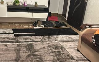 🏡 Apartament 1 cameră renovat, 30 mp, Micro 40,bloc mixt - Poză 2