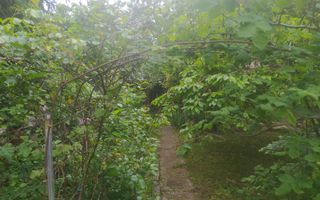 Liniște și Confort Aproape de Centru - Poză 8