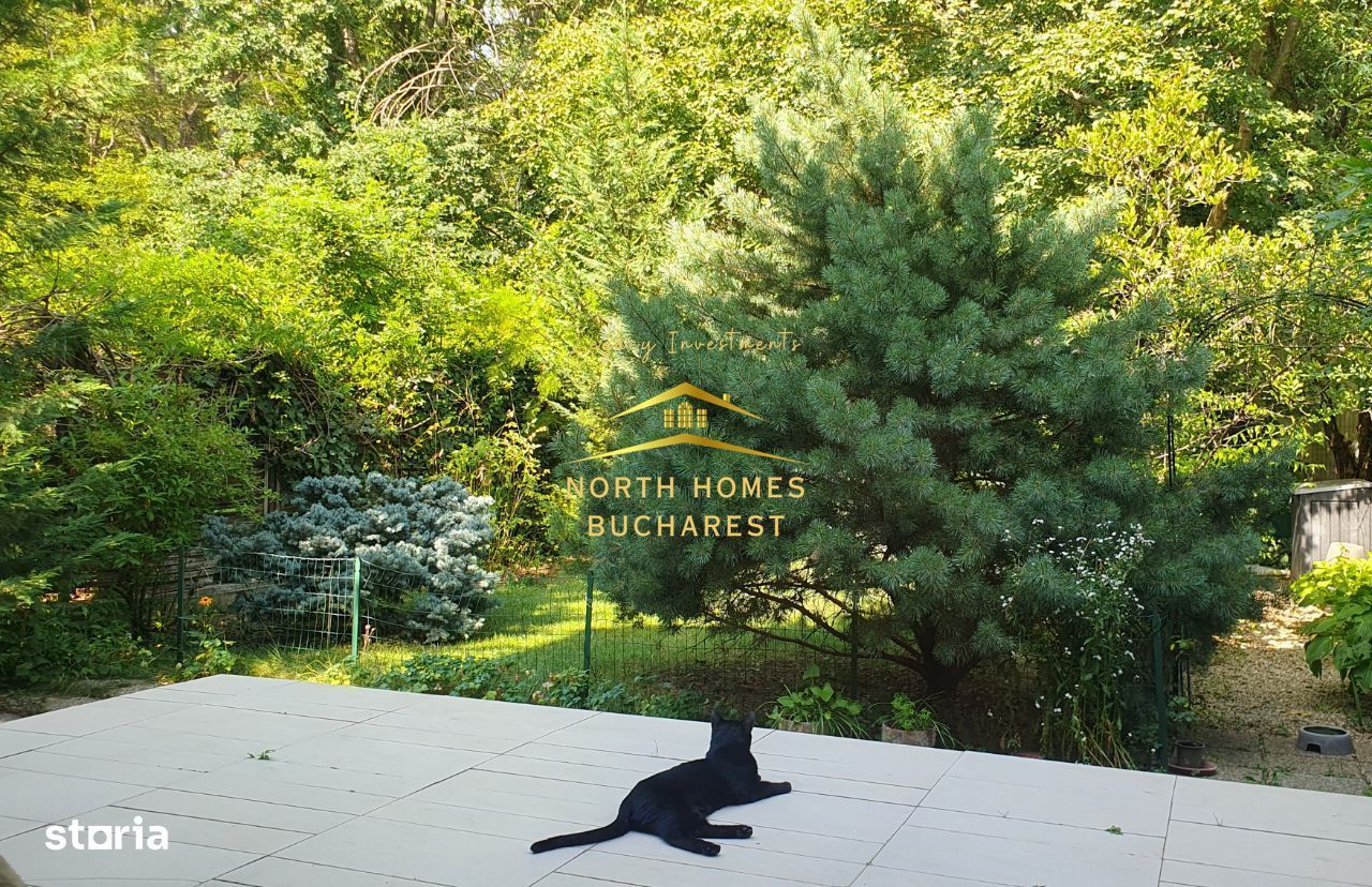 Vila de vanzare P+1 la liziera Padurii Baneasa-PARCARE -NEGOCIABIL - Poză 1