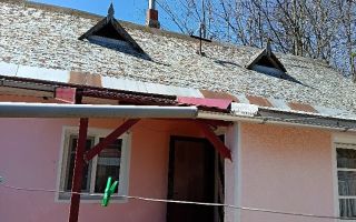 Vânzare două case în Tudor Vladimirescu, cu curte, grădină și livadă - Poză 2
